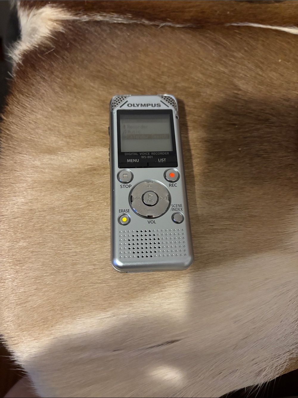 Olympus Silver Portable Digital Voice Recorder with Backlit Controls